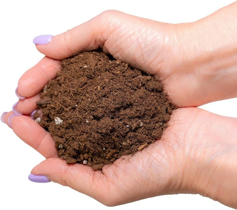 GARDENERA Premium Dracaena Potting Soil Mix - (1 Quart Bag) - Image 5